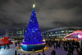 Up to 40 New Year trees light up Astana’s Ertegi Fest - photo 17