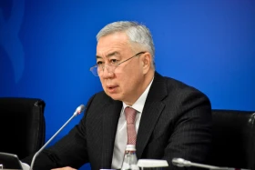 Қаржы министрі салық салудың сервистік моделі қалай іске асатынын түсіндірді - фото 7