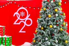 Festive decoration of the capital for the New Year - photo 33