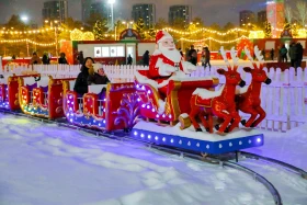 Festive decoration of the capital for the New Year - photo 50