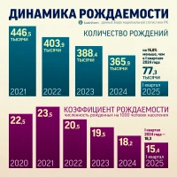 Birth Rate Dynamics - photo 1