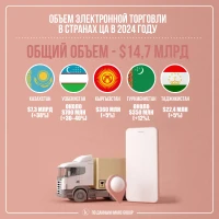 Объем электронной торговли в странах ЦА в 2024 году - фото 2