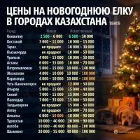 Цена на новогоднюю елку в городах Казахстана - фото 2