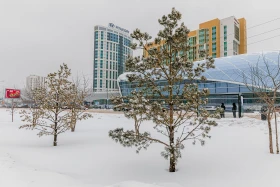 A storm warning has been issued in Astana - photo 4