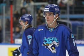 KHL: Barys defeat Lada at home - photo 16