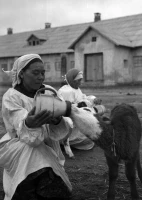 Workers of Kyzylorda Region in 1956 - photo 6