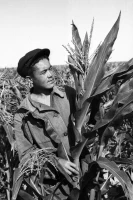 Workers of Kyzylorda Region in 1956 - photo 7