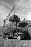 Workers of Kyzylorda Region in 1956 - photo 9