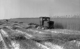 North Kazakhstan Region in 1956 - photo 5