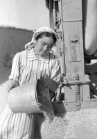 South Kazakhstan Region in 1956 - photo 9