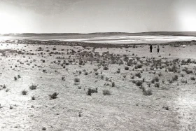 South Kazakhstan Region in 1956 - photo 3