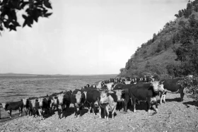 Akmola Region in 1957 - photo 4