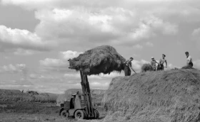 Akmola Region in 1957 - photo 6