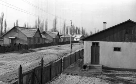 Dzhambul City, 1957s - photo 2