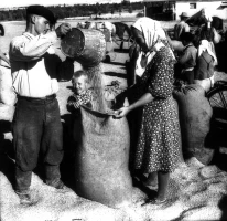 Jambyl Region, 1957 - photo 2