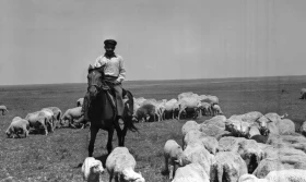 West Kazakhstan Region, 1957 - photo 3