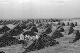 Тhe North Kazakhstan Region in 1957 - photo 5