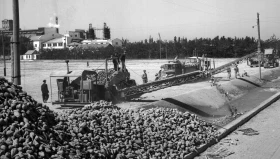 City of Dzhambul, 1958 - photo 2