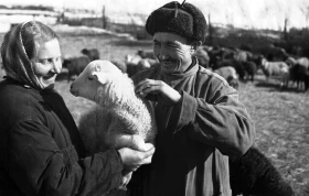 Знатные чабаны и труженики совхозов Акмолинской области - фото 1