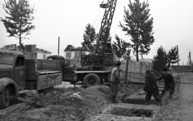 Planting Pine Trees on Mira Street, Akmolinsk - photo 1