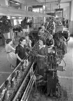 New Production Conveyors in Alma-Ata - photo 3