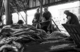Fish canning plant - photo 2