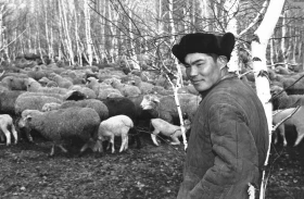 Труженики сельского хозяйства Северо-Казахстанской области - фото 1