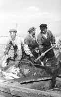 Workers of the oil and fish industries of the Guryev Region - photo 5