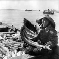Guryev. 1961 - photo 3
