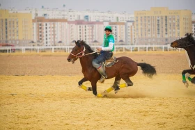 The kokpar tournament in Turkestan brought a special festive atmosphere to the country - photo 6