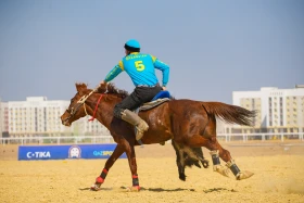 The kokpar tournament in Turkestan brought a special festive atmosphere to the country - photo 8