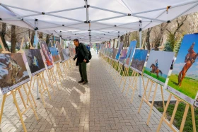 Тысячи алматинцев вышли праздновать Наурыз - фото 15