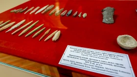Қола дәуірінен орта ғасырға дейін: Алматыда бірегей жәдігерлер көрсетілді - фото 2
