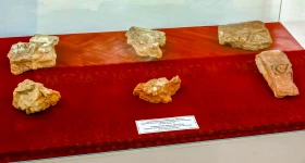 Қола дәуірінен орта ғасырға дейін: Алматыда бірегей жәдігерлер көрсетілді - фото 20