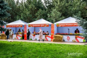 Алматыда қала күні кең көлемде аталып өтті - фото 25