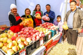 Алматыда қала күні кең көлемде аталып өтті - фото 31