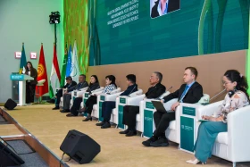 Sand and dust storms worsening in western Kazakhstan — Ecology Minister - photo 37