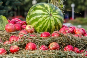 Алматыда қала күні кең көлемде аталып өтті - фото 37