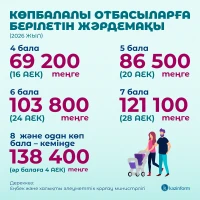 Kazakhstan Leads in Family Support - photo 4