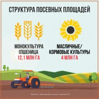 Структура посевных площадей - фото 2