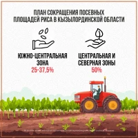 Структура посевных площадей - фото 4