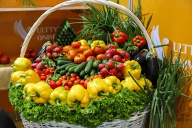 Astana hosts exhibition of over 600 local manufacturers - photo 13
