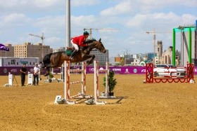 Kazakhstan wins 14 medals at international equestrian tournament in Astana - photo 11