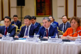Қазақстан мен Корея Республикасы арасындағы сауда көлемі 3 млрд доллардан асты - фото 7