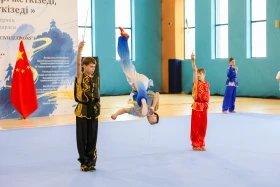 Казахстан и Китай укрепляют сотрудничество в области ушу - фото 13