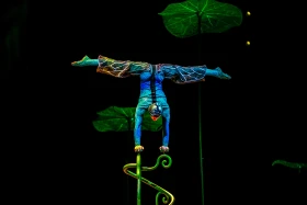 Премьера шоу OVO от Cirque du Soleil состоялась в Астане - фото 3