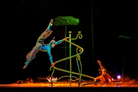 Премьера шоу OVO от Cirque du Soleil состоялась в Астане - фото 4