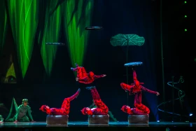 Премьера шоу OVO от Cirque du Soleil состоялась в Астане - фото 7