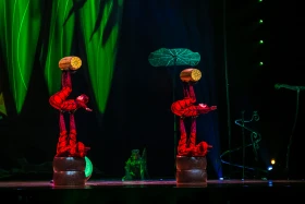 Премьера шоу OVO от Cirque du Soleil состоялась в Астане - фото 8