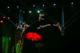 Премьера шоу OVO от Cirque du Soleil состоялась в Астане - фото 11